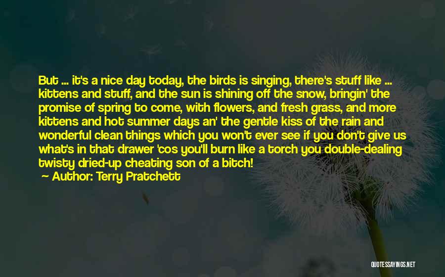 Terry Pratchett Quotes: But ... It's A Nice Day Today, The Birds Is Singing, There's Stuff Like ... Kittens And Stuff, And The