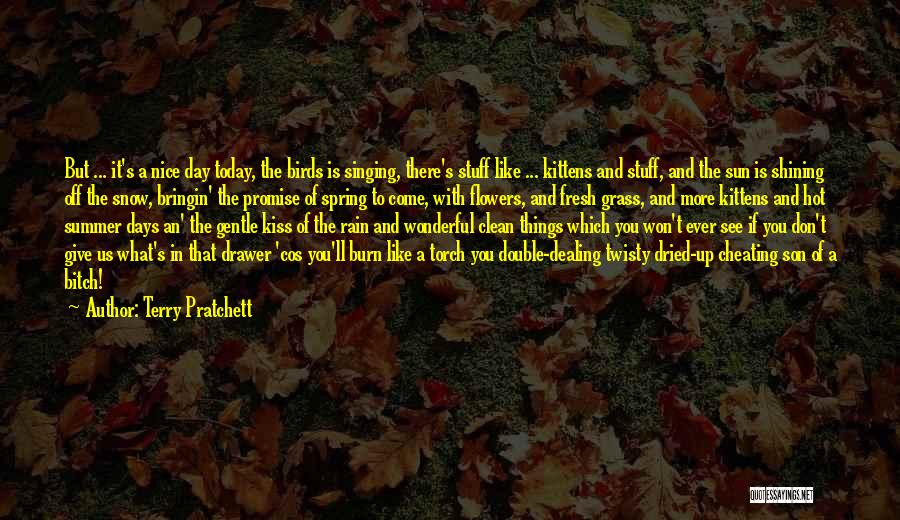 Terry Pratchett Quotes: But ... It's A Nice Day Today, The Birds Is Singing, There's Stuff Like ... Kittens And Stuff, And The