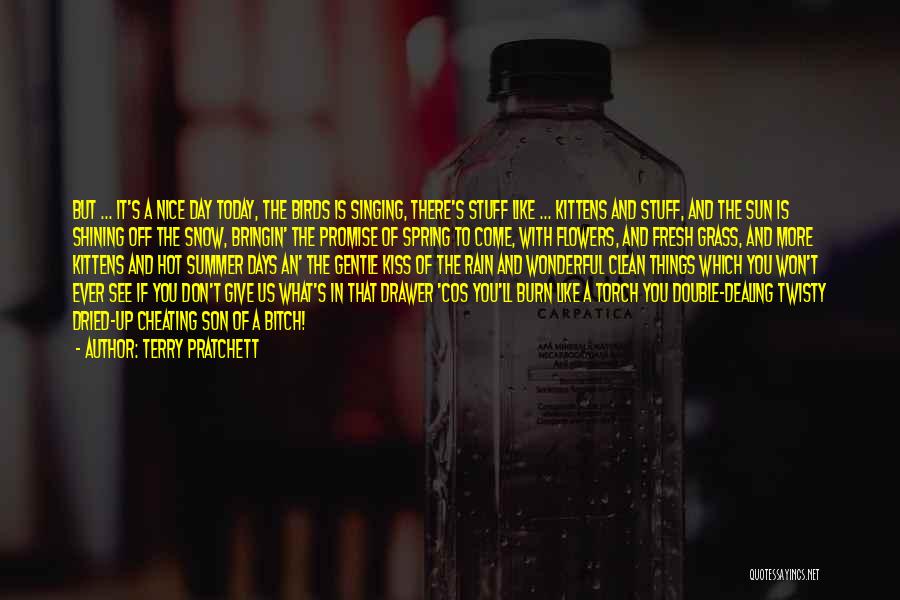 Terry Pratchett Quotes: But ... It's A Nice Day Today, The Birds Is Singing, There's Stuff Like ... Kittens And Stuff, And The