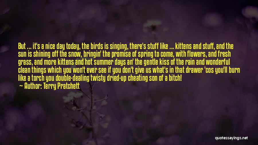 Terry Pratchett Quotes: But ... It's A Nice Day Today, The Birds Is Singing, There's Stuff Like ... Kittens And Stuff, And The