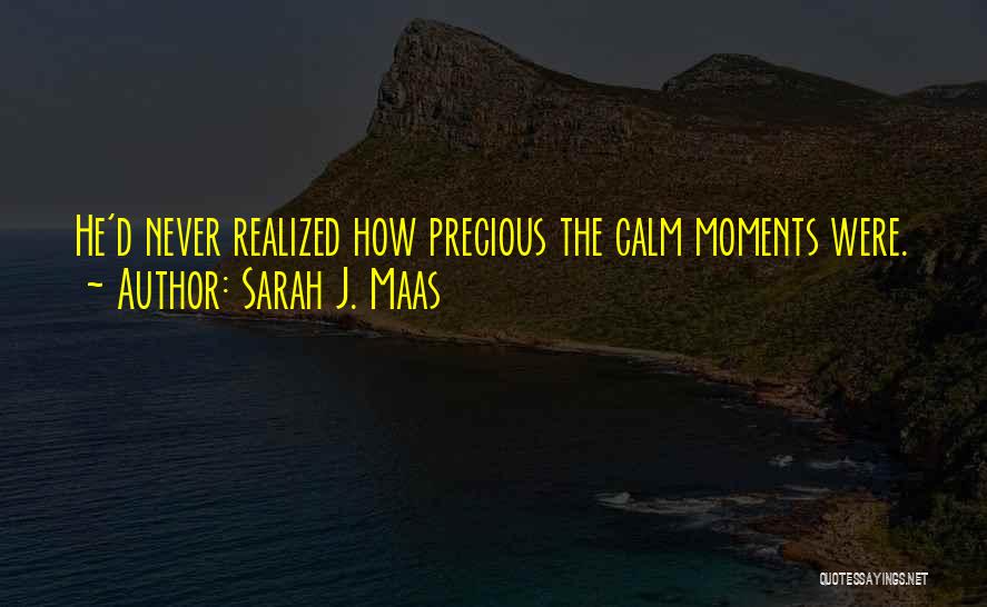 Sarah J. Maas Quotes: He'd Never Realized How Precious The Calm Moments Were.