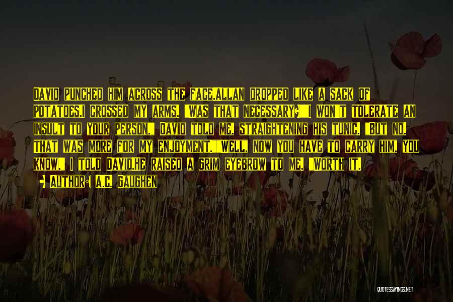 A.C. Gaughen Quotes: David Punched Him Across The Face.allan Dropped Like A Sack Of Potatoes.i Crossed My Arms. Was That Necessary?i Won't Tolerate