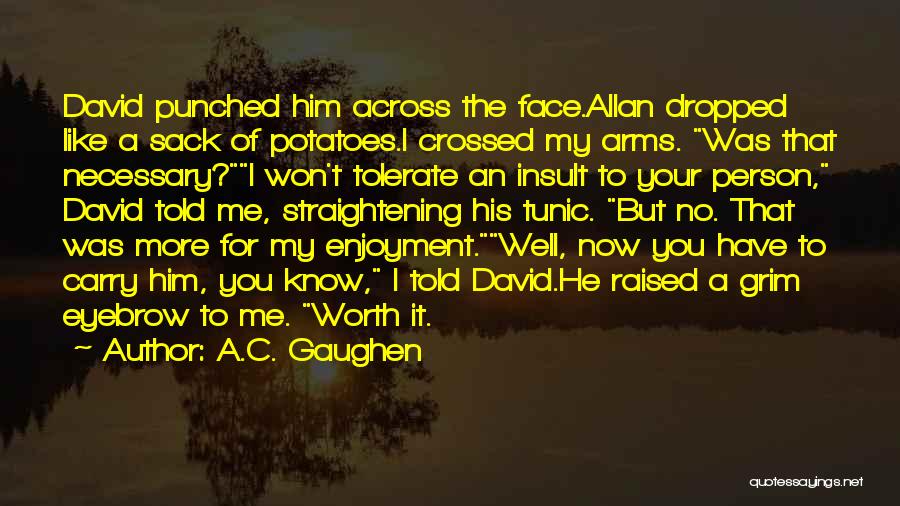 A.C. Gaughen Quotes: David Punched Him Across The Face.allan Dropped Like A Sack Of Potatoes.i Crossed My Arms. Was That Necessary?i Won't Tolerate