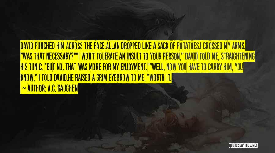 A.C. Gaughen Quotes: David Punched Him Across The Face.allan Dropped Like A Sack Of Potatoes.i Crossed My Arms. Was That Necessary?i Won't Tolerate