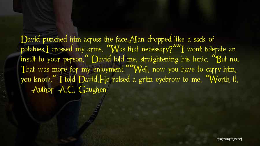 A.C. Gaughen Quotes: David Punched Him Across The Face.allan Dropped Like A Sack Of Potatoes.i Crossed My Arms. Was That Necessary?i Won't Tolerate