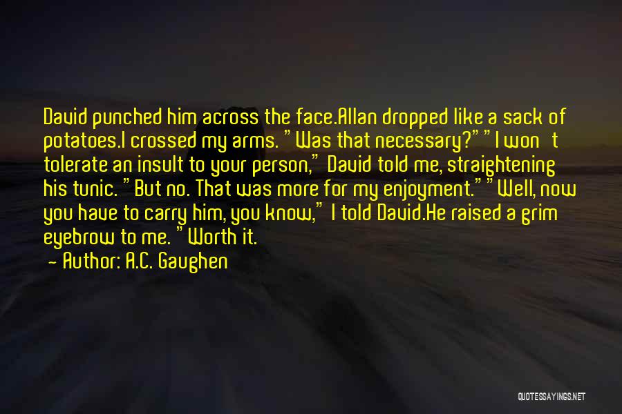 A.C. Gaughen Quotes: David Punched Him Across The Face.allan Dropped Like A Sack Of Potatoes.i Crossed My Arms. Was That Necessary?i Won't Tolerate