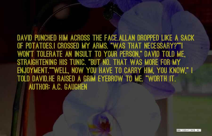 A.C. Gaughen Quotes: David Punched Him Across The Face.allan Dropped Like A Sack Of Potatoes.i Crossed My Arms. Was That Necessary?i Won't Tolerate