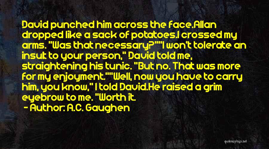 A.C. Gaughen Quotes: David Punched Him Across The Face.allan Dropped Like A Sack Of Potatoes.i Crossed My Arms. Was That Necessary?i Won't Tolerate