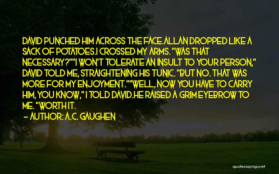 A.C. Gaughen Quotes: David Punched Him Across The Face.allan Dropped Like A Sack Of Potatoes.i Crossed My Arms. Was That Necessary?i Won't Tolerate