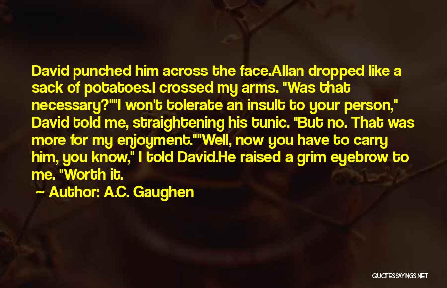 A.C. Gaughen Quotes: David Punched Him Across The Face.allan Dropped Like A Sack Of Potatoes.i Crossed My Arms. Was That Necessary?i Won't Tolerate