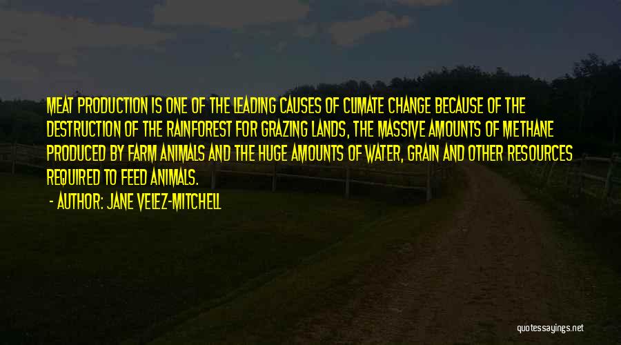 Jane Velez-Mitchell Quotes: Meat Production Is One Of The Leading Causes Of Climate Change Because Of The Destruction Of The Rainforest For Grazing