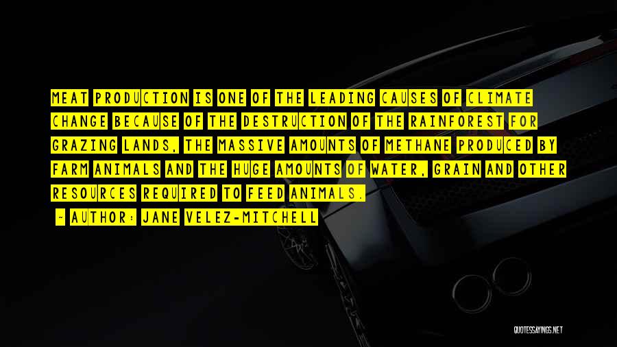 Jane Velez-Mitchell Quotes: Meat Production Is One Of The Leading Causes Of Climate Change Because Of The Destruction Of The Rainforest For Grazing