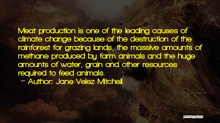 Jane Velez-Mitchell Quotes: Meat Production Is One Of The Leading Causes Of Climate Change Because Of The Destruction Of The Rainforest For Grazing