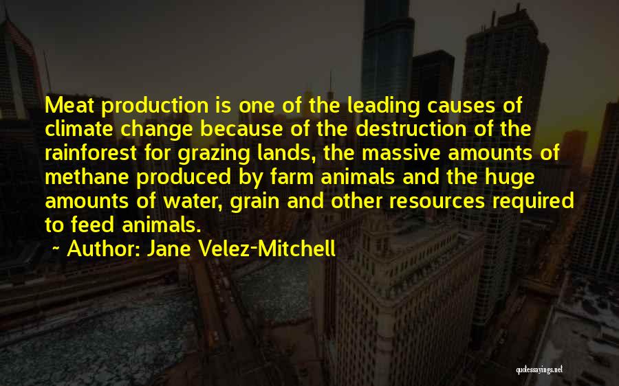 Jane Velez-Mitchell Quotes: Meat Production Is One Of The Leading Causes Of Climate Change Because Of The Destruction Of The Rainforest For Grazing