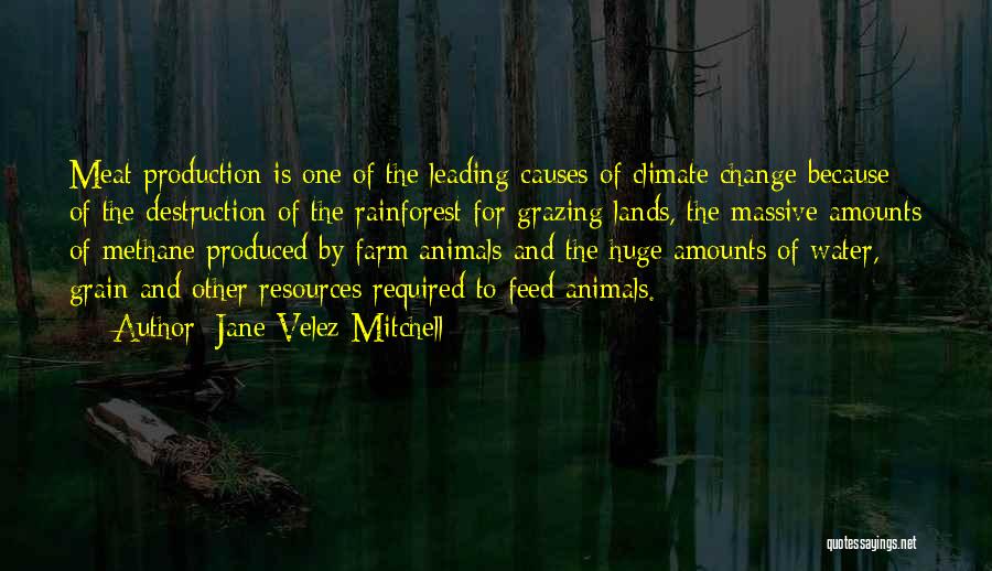 Jane Velez-Mitchell Quotes: Meat Production Is One Of The Leading Causes Of Climate Change Because Of The Destruction Of The Rainforest For Grazing
