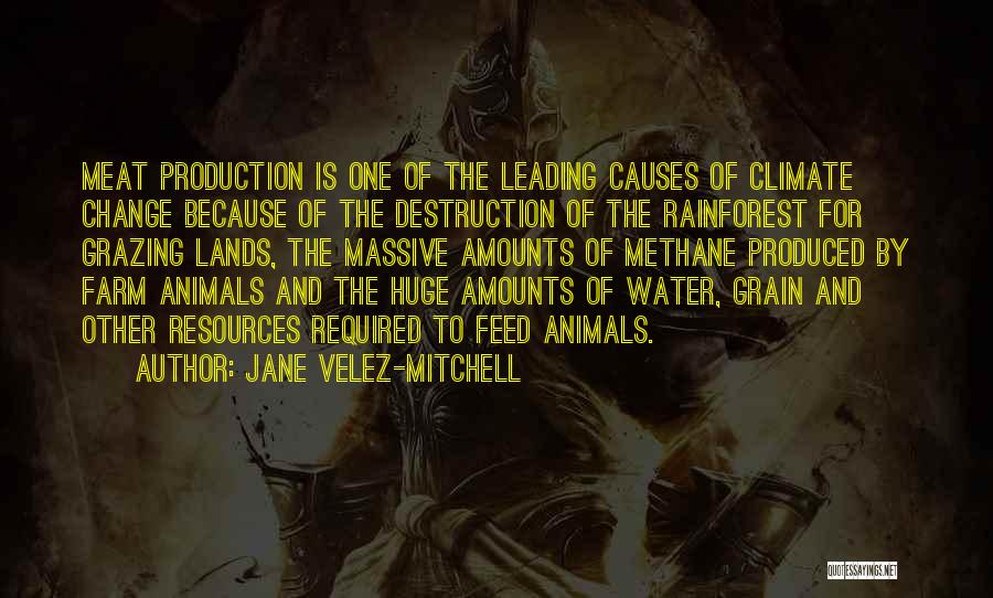 Jane Velez-Mitchell Quotes: Meat Production Is One Of The Leading Causes Of Climate Change Because Of The Destruction Of The Rainforest For Grazing