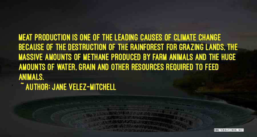 Jane Velez-Mitchell Quotes: Meat Production Is One Of The Leading Causes Of Climate Change Because Of The Destruction Of The Rainforest For Grazing