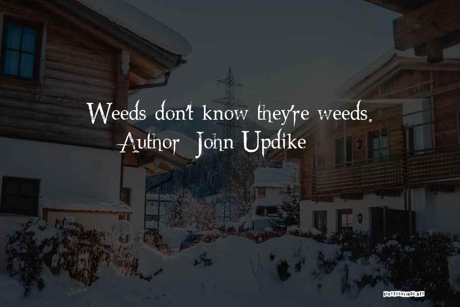 John Updike Quotes: Weeds Don't Know They're Weeds.