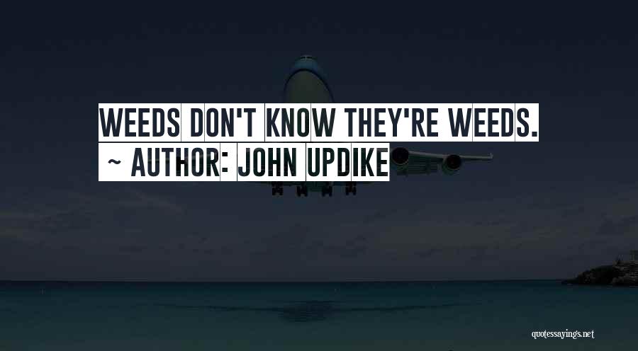 John Updike Quotes: Weeds Don't Know They're Weeds.