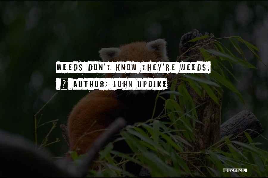 John Updike Quotes: Weeds Don't Know They're Weeds.