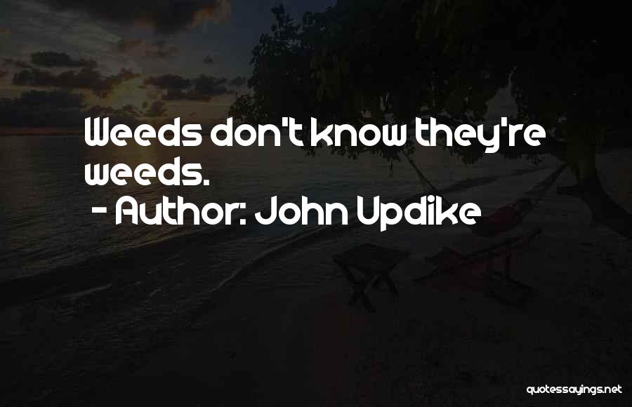 John Updike Quotes: Weeds Don't Know They're Weeds.