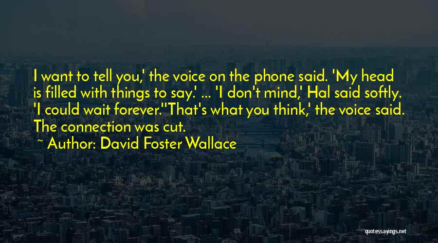 David Foster Wallace Quotes: I Want To Tell You,' The Voice On The Phone Said. 'my Head Is Filled With Things To Say.' ...