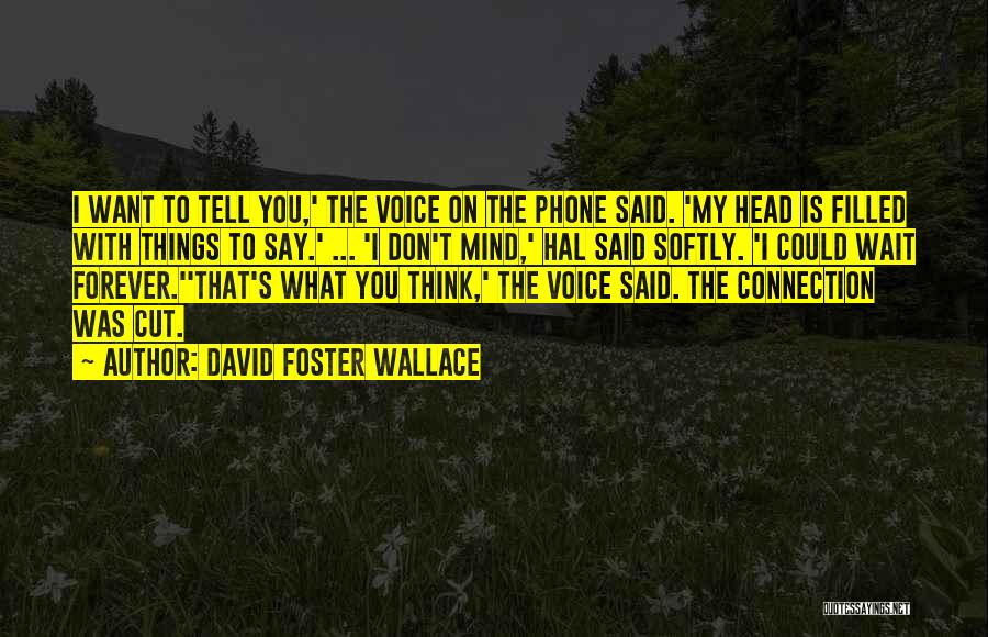 David Foster Wallace Quotes: I Want To Tell You,' The Voice On The Phone Said. 'my Head Is Filled With Things To Say.' ...