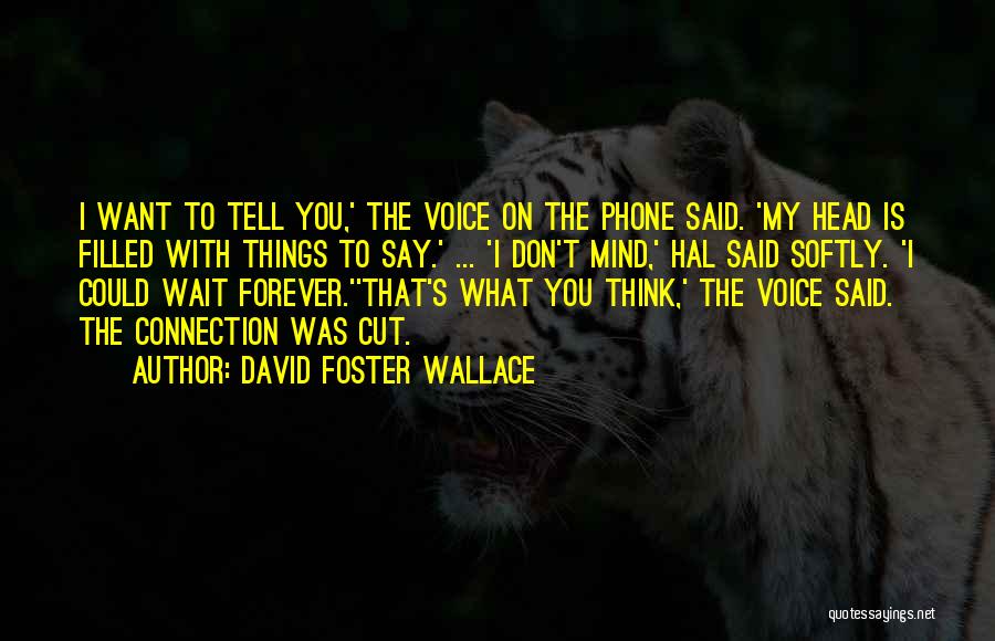 David Foster Wallace Quotes: I Want To Tell You,' The Voice On The Phone Said. 'my Head Is Filled With Things To Say.' ...