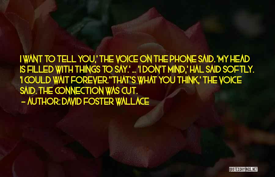 David Foster Wallace Quotes: I Want To Tell You,' The Voice On The Phone Said. 'my Head Is Filled With Things To Say.' ...