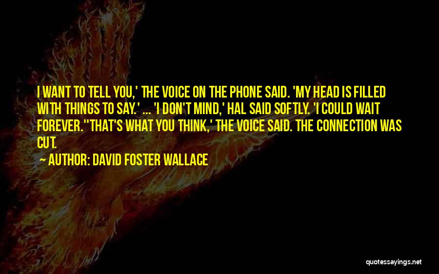 David Foster Wallace Quotes: I Want To Tell You,' The Voice On The Phone Said. 'my Head Is Filled With Things To Say.' ...