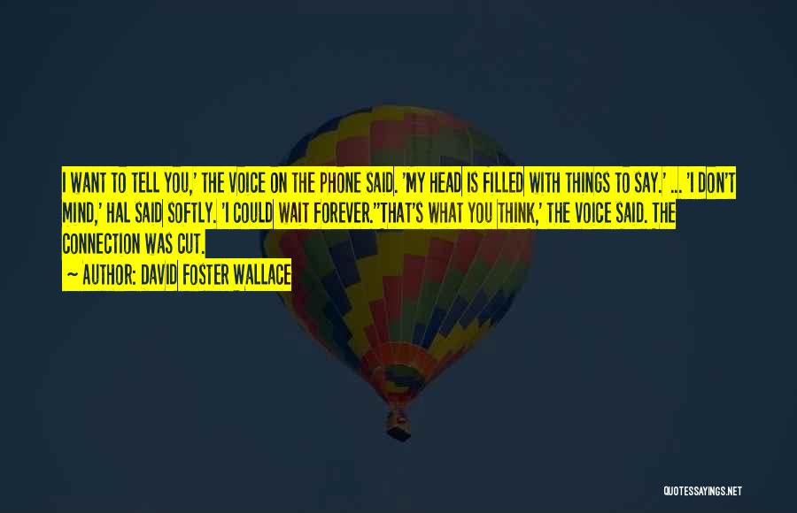 David Foster Wallace Quotes: I Want To Tell You,' The Voice On The Phone Said. 'my Head Is Filled With Things To Say.' ...