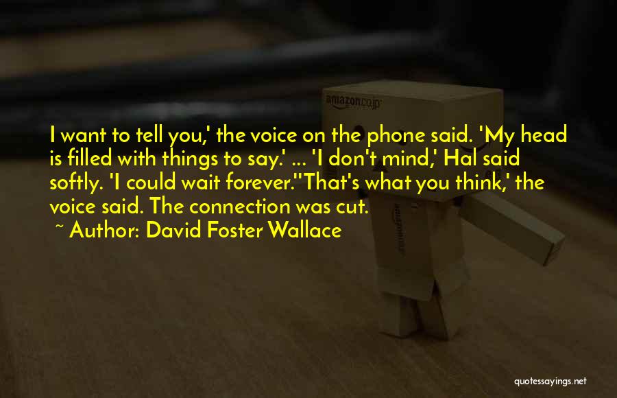 David Foster Wallace Quotes: I Want To Tell You,' The Voice On The Phone Said. 'my Head Is Filled With Things To Say.' ...