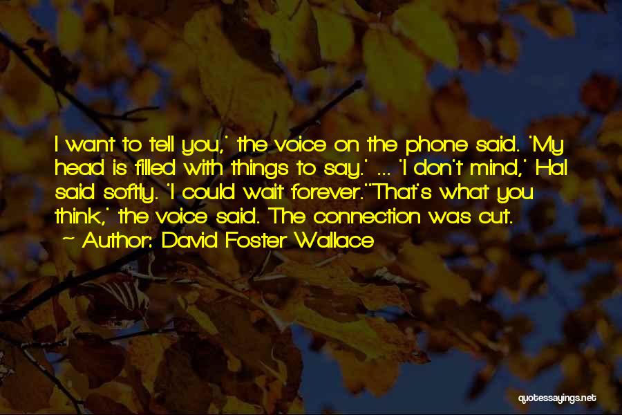 David Foster Wallace Quotes: I Want To Tell You,' The Voice On The Phone Said. 'my Head Is Filled With Things To Say.' ...