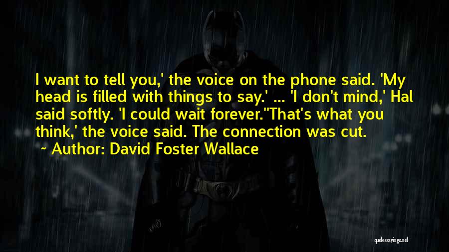 David Foster Wallace Quotes: I Want To Tell You,' The Voice On The Phone Said. 'my Head Is Filled With Things To Say.' ...