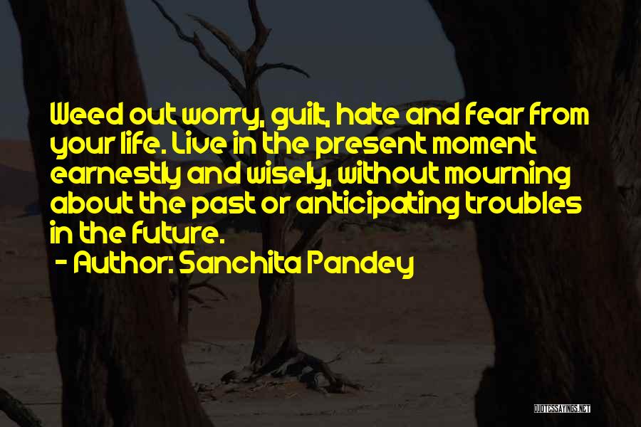 Sanchita Pandey Quotes: Weed Out Worry, Guilt, Hate And Fear From Your Life. Live In The Present Moment Earnestly And Wisely, Without Mourning