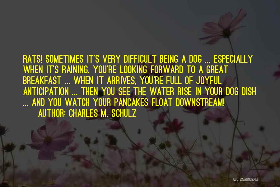 Charles M. Schulz Quotes: Rats! Sometimes It's Very Difficult Being A Dog ... Especially When It's Raining. You're Looking Forward To A Great Breakfast