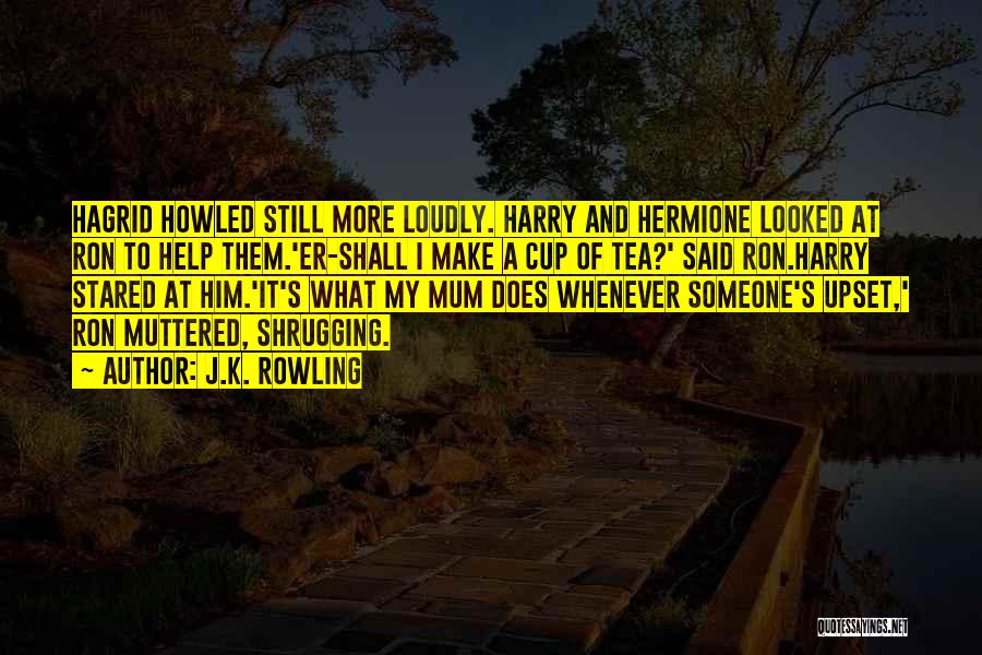 J.K. Rowling Quotes: Hagrid Howled Still More Loudly. Harry And Hermione Looked At Ron To Help Them.'er-shall I Make A Cup Of Tea?'