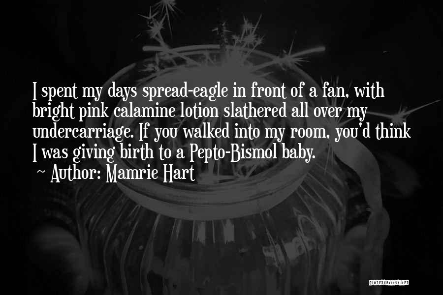 Mamrie Hart Quotes: I Spent My Days Spread-eagle In Front Of A Fan, With Bright Pink Calamine Lotion Slathered All Over My Undercarriage.