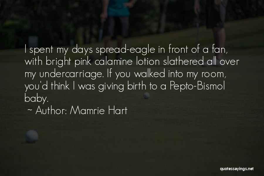 Mamrie Hart Quotes: I Spent My Days Spread-eagle In Front Of A Fan, With Bright Pink Calamine Lotion Slathered All Over My Undercarriage.