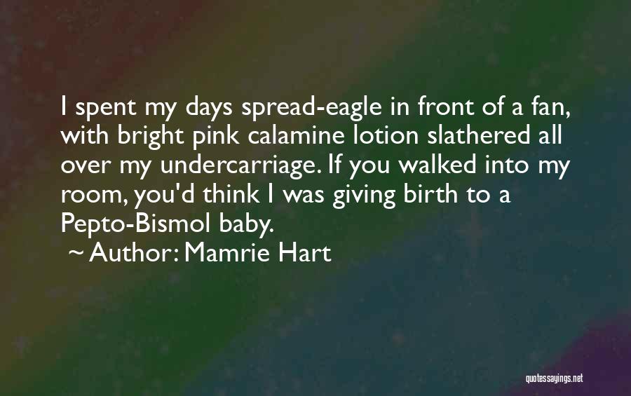 Mamrie Hart Quotes: I Spent My Days Spread-eagle In Front Of A Fan, With Bright Pink Calamine Lotion Slathered All Over My Undercarriage.