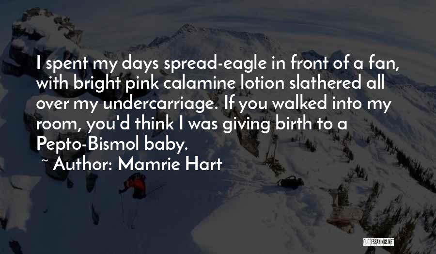 Mamrie Hart Quotes: I Spent My Days Spread-eagle In Front Of A Fan, With Bright Pink Calamine Lotion Slathered All Over My Undercarriage.