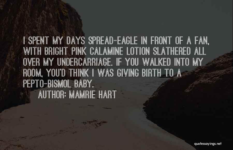 Mamrie Hart Quotes: I Spent My Days Spread-eagle In Front Of A Fan, With Bright Pink Calamine Lotion Slathered All Over My Undercarriage.