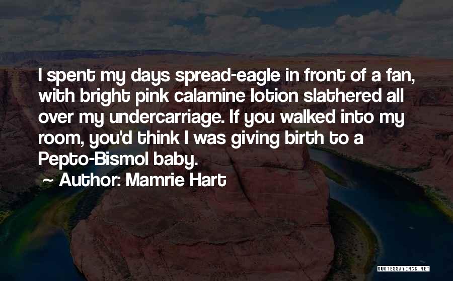 Mamrie Hart Quotes: I Spent My Days Spread-eagle In Front Of A Fan, With Bright Pink Calamine Lotion Slathered All Over My Undercarriage.