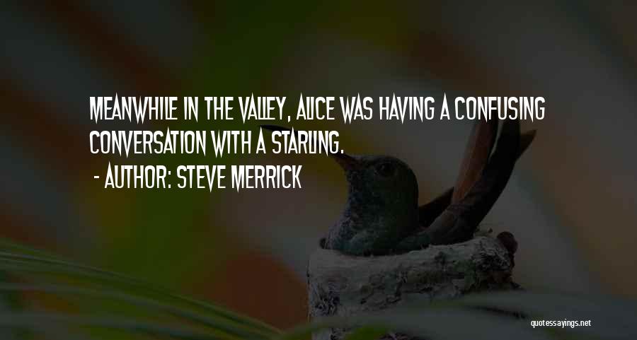 Steve Merrick Quotes: Meanwhile In The Valley, Alice Was Having A Confusing Conversation With A Starling.