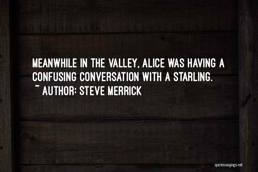 Steve Merrick Quotes: Meanwhile In The Valley, Alice Was Having A Confusing Conversation With A Starling.