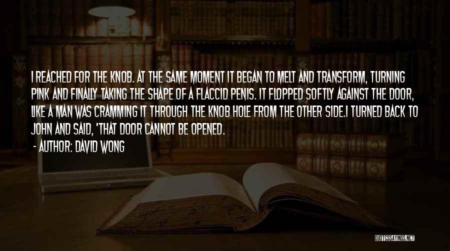 David Wong Quotes: I Reached For The Knob. At The Same Moment It Began To Melt And Transform, Turning Pink And Finally Taking