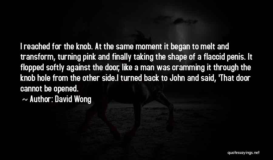 David Wong Quotes: I Reached For The Knob. At The Same Moment It Began To Melt And Transform, Turning Pink And Finally Taking