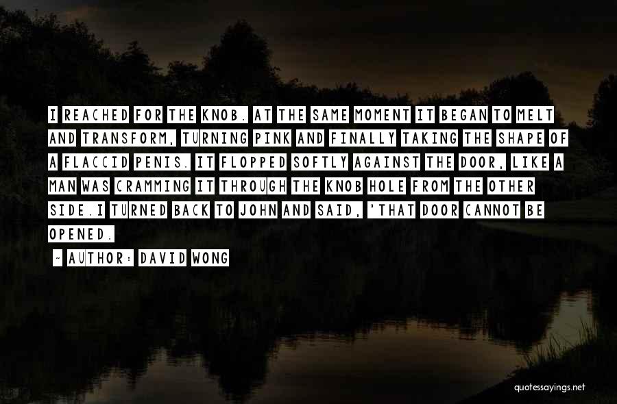 David Wong Quotes: I Reached For The Knob. At The Same Moment It Began To Melt And Transform, Turning Pink And Finally Taking