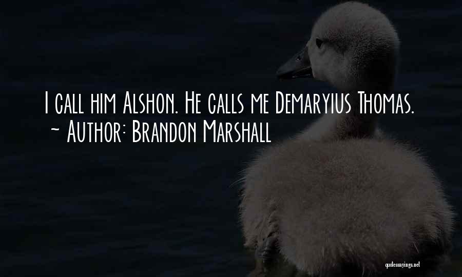 Brandon Marshall Quotes: I Call Him Alshon. He Calls Me Demaryius Thomas.