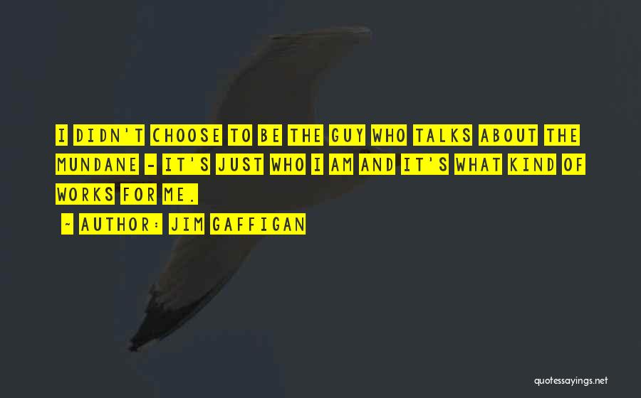 Jim Gaffigan Quotes: I Didn't Choose To Be The Guy Who Talks About The Mundane - It's Just Who I Am And It's